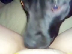 shamale with dog masturbating