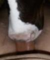 farmgay's Avatar