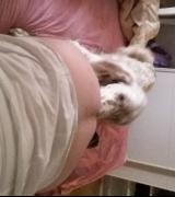 carolobear's Avatar