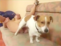 amateur dog sex home