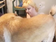 Webcam - Angel dog brush