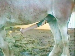 Hotkinkyjo Horse Porn - HotKinkyJo - Wine Bottle Prolapse - Zoo Videos - Zookings
