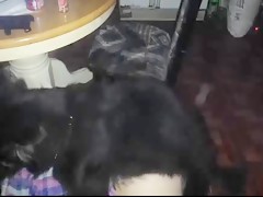 Thumb 10