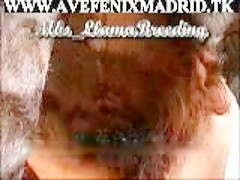 Thumb 10