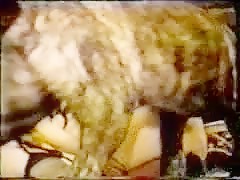 HorseMilly 3