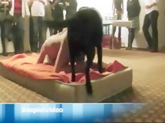 Brunette in hotel with black dog and boyfriend