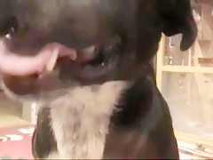Thumb 11