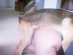 cat licking teen pussy