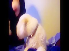 xxxdog3