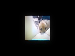 Thumb 20