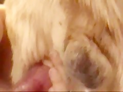 Thumb 16