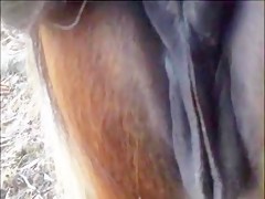 Thumb 14