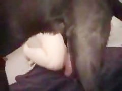 Locas por su caballo