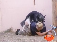 El gorrino