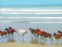 Warming the horse