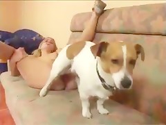 Absorbing shell