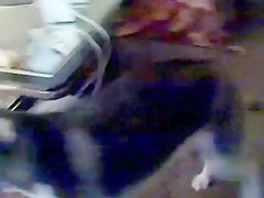 Thumb 17