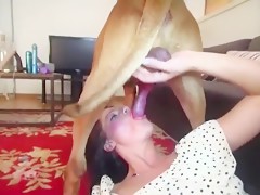 Girls play with dogs