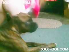 Zooskool - KnottyKnotty - Christmas Tail