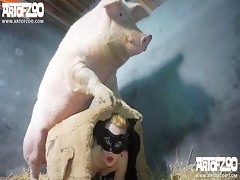 cerda y puta