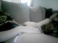 Cammer Teen records dog licking and has Orgasm